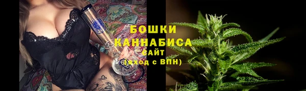 молекула духа Аркадак
