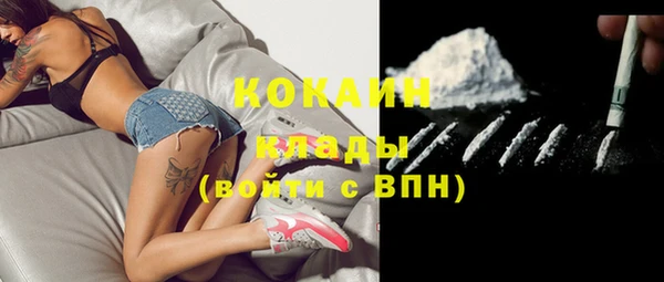молекула духа Аркадак