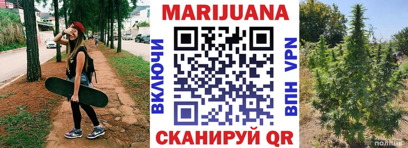 Марихуана гибрид  Олонец 